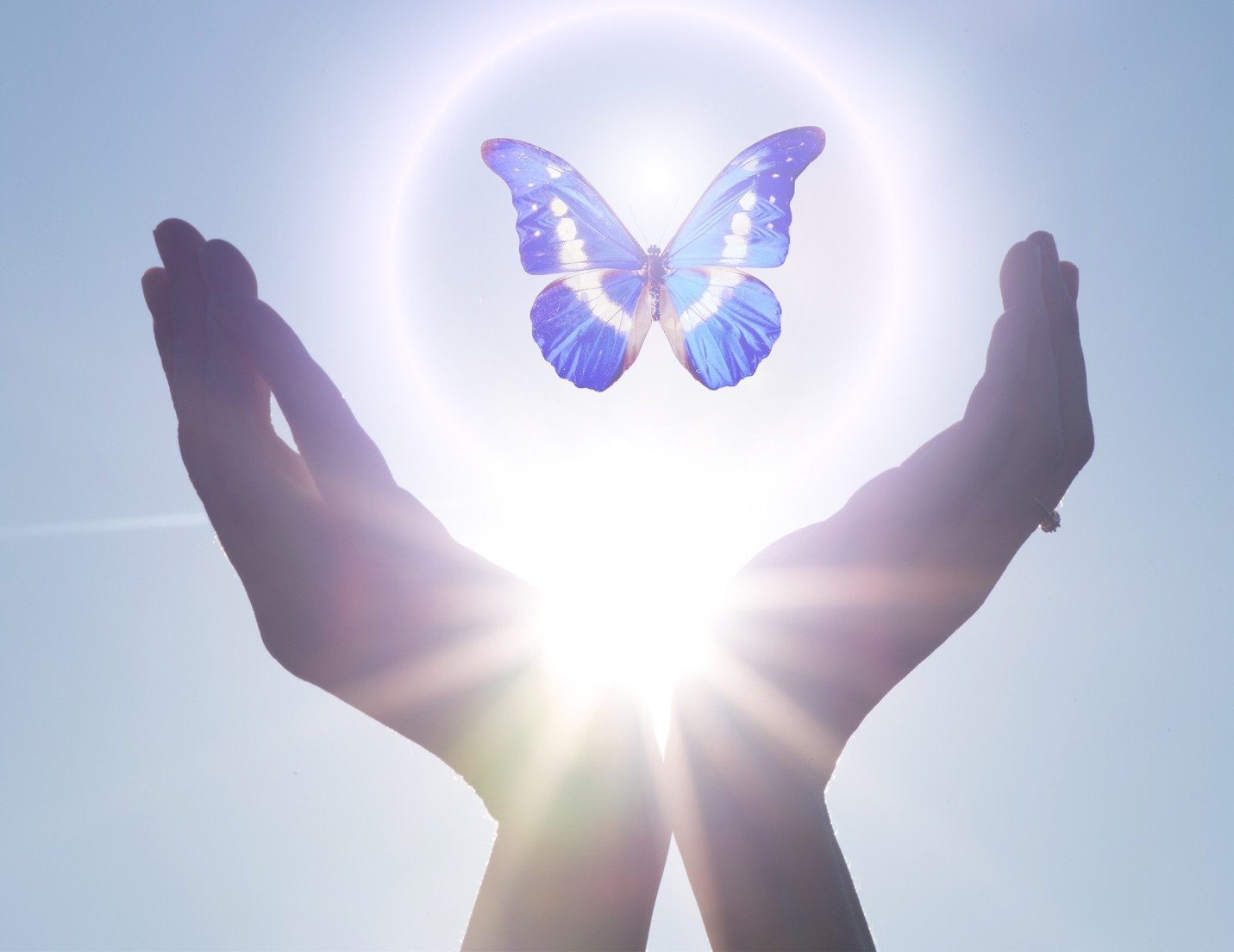 A butterfly rising into the light — resilience, growth and transformation
